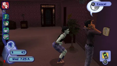 The Sims 2 - PSP spill