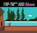 Shadow Warriors - NES spill