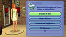 The Sims 2 - PSP spill
