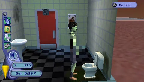 The Sims 2 - PSP spill