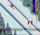 Winter Olympics: Lillehammer '94 - SNES spill