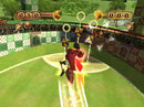 Harry Potter: Quidditch World Cup - Gamecube spill