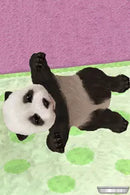 Petz: Nursery - Nintendo DS spill