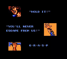 Double Dragon II: The Revenge - NES spill