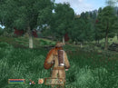 The Elder Scrolls IV: Oblivion - PS3 spill