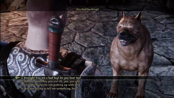 Dragon Age: Origins - Xbox 360 spill - Retrospillkongen