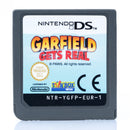 Garfield Gets Real - Nintendo DS spill