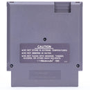 Dragon’s Lair - NES spill