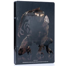 Mass Effect 2 - Collector's Edition Box - Xbox 360 spill