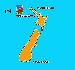 The New Zealand Story - NES spill