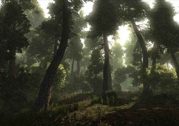 Risen - Xbox 360 spill - Retrospillkongen