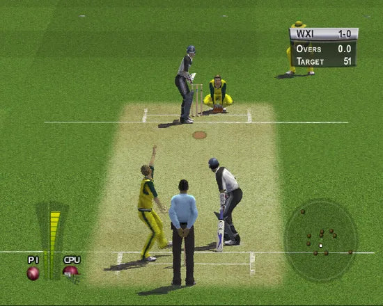 Brian Lara International Cricket 2005 - PS2 Spill - Retrospillkongen