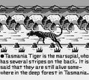 Tasmania Story - GameBoy spill - Retrospillkongen