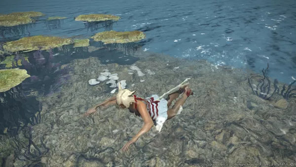 Final Fantasy XIV Online: Stormblood - PS4 Spill