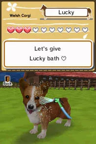 Animal Paradise - Nintendo DS spill - Retrospillkongen