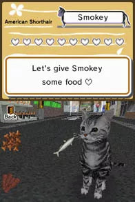 Animal Paradise - Nintendo DS spill - Retrospillkongen