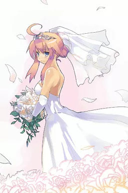 Luminous Arc 2  - Nintendo DS spill - Retrospillkongen