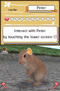 Animal Paradise - Nintendo DS spill - Retrospillkongen