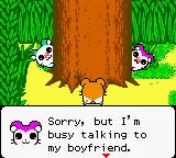 Hamtaro: Ham-Hams Unite!  - GBC spill - Retrospillkongen