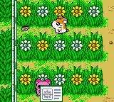 Hamtaro: Ham-Hams Unite!  - GBC spill - Retrospillkongen