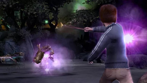 Harry Potter and the Goblet of Fire - PS2 Spill - Retrospillkongen