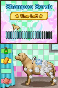 Animal Paradise - Nintendo DS spill - Retrospillkongen