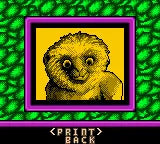 Disney's Dinosaur - GameBoy Color spill (NTSC-U)