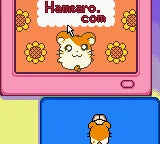 Hamtaro: Ham-Hams Unite!  - GBC spill