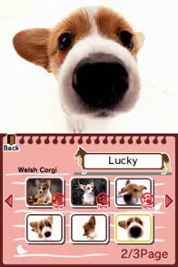 Animal Paradise - Nintendo DS spill - Retrospillkongen