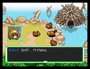 Pokémon Mystery Dungeon: Explorers of Sky - Nintendo DS spill
