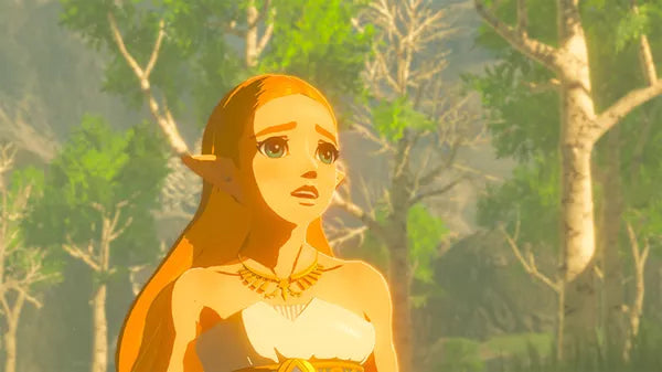 Renovert The Legend of Zelda: Breath of the Wild - Wii U spill - Retrospillkongen