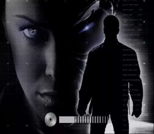 Terminator 3: Rise of the Machines - PS2 Spill - Retrospillkongen