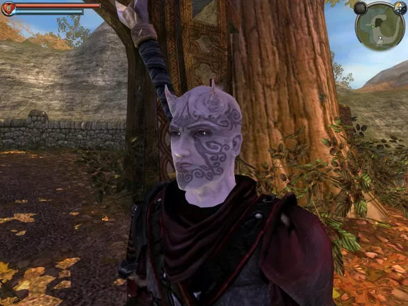 Renovert Fable: The Lost Chapters - Xbox Original-spill - Retrospillkongen