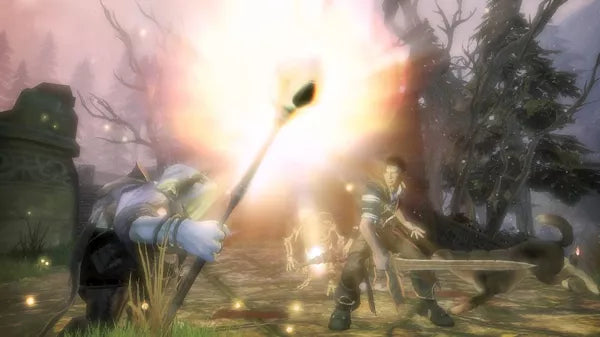 Fable II - Xbox 360 spill - Retrospillkongen