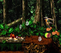 Donkey Kong Country 2: Diddy's Kong Quest - SNES spill - Retrospillkongen