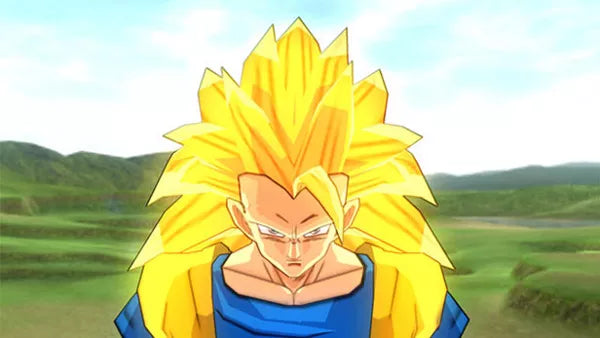 Dragon Ball Z: Budokai Tenkaichi 2 - PS2 spill - Retrospillkongen