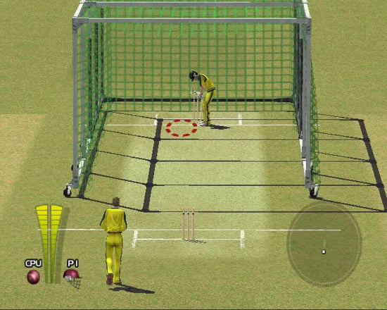 Brian Lara International Cricket 2005 - PS2 Spill - Retrospillkongen