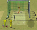 Brian Lara International Cricket 2005 - PS2 Spill