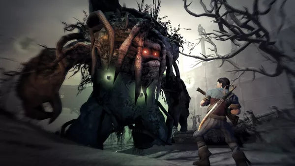 Fable II - Limited Collector's Edition - Xbox 360 spill - Retrospillkongen