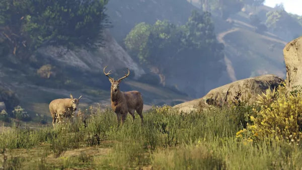 Grand Theft Auto V - Xbox 360 spill - Retrospillkongen