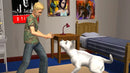 The Sims 2: Pets - PS2 spill - Retrospillkongen