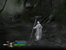 The Lord of the Rings: The Return of The King - Gamecube spill - Retrospillkongen