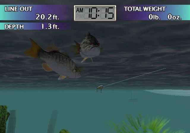 Top Angler: Real Bass Fishing - Gamecube spill - Retrospillkongen