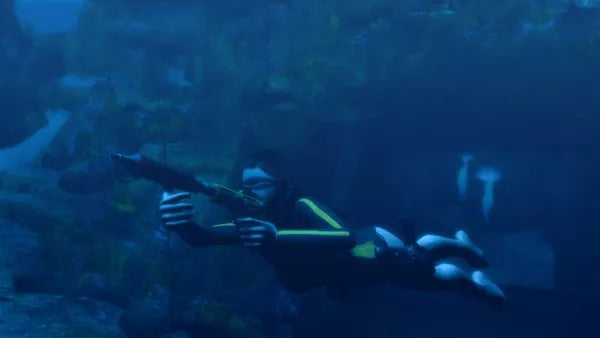 Tomb Raider: Underworld - PS3 spill - Retrospillkongen