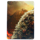 Dark Souls II (Steelbook) - Xbox 360 spill - Retrospillkongen