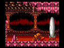 Chuck Rock - SNES spill (USA)